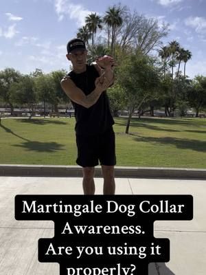 MUST SEE: Martingale Dog Collar Awareness 🐶 #coachcaseyray #tiktok #lakehavasu #dogbehaviorexpert #tiktokdogs #puppy #dog #martingaledogcollar #martingale #awareness #howtotiktok #dogcollars 