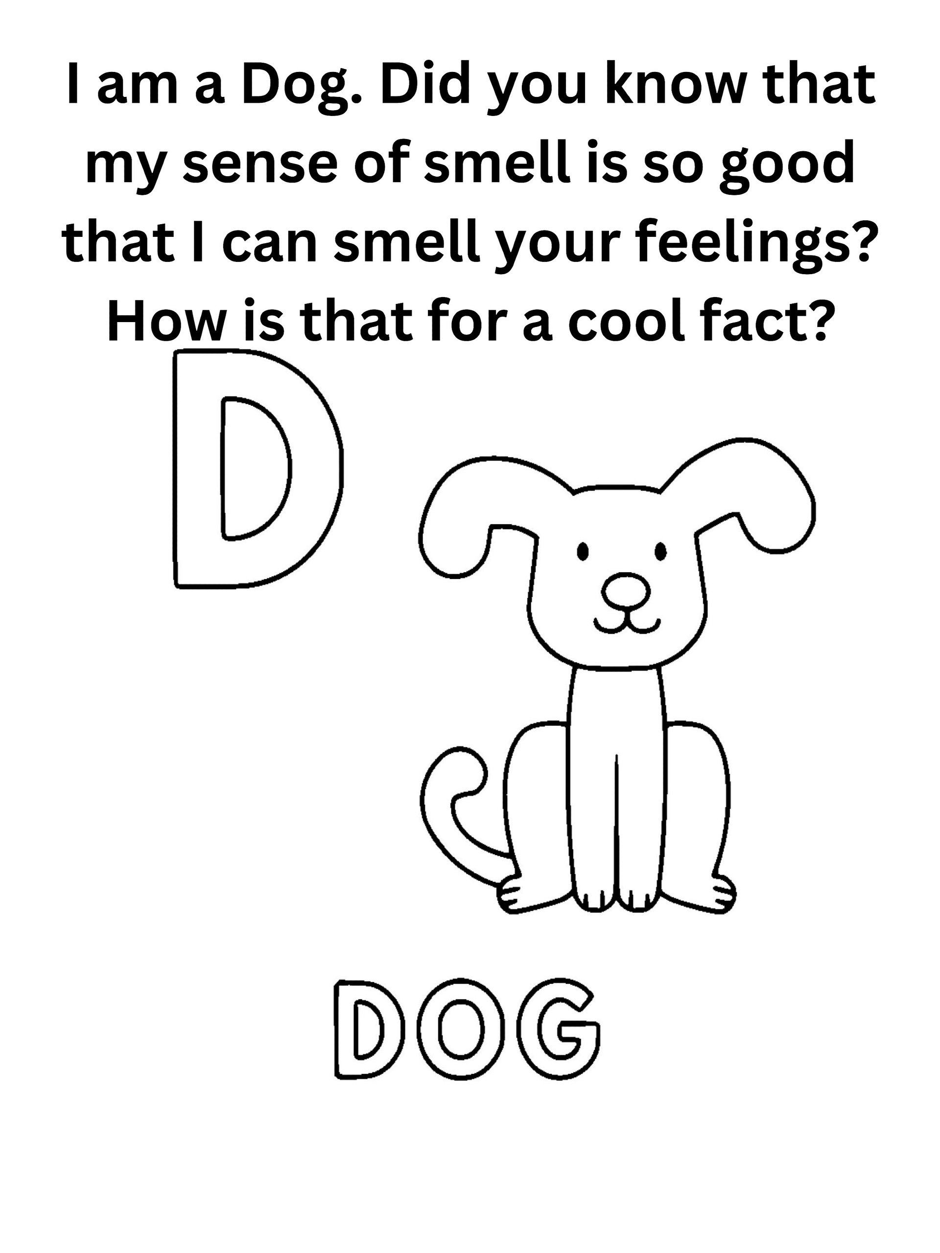 "Did You Know" Animal Facts Alphabet Coloring Pages product image (5)