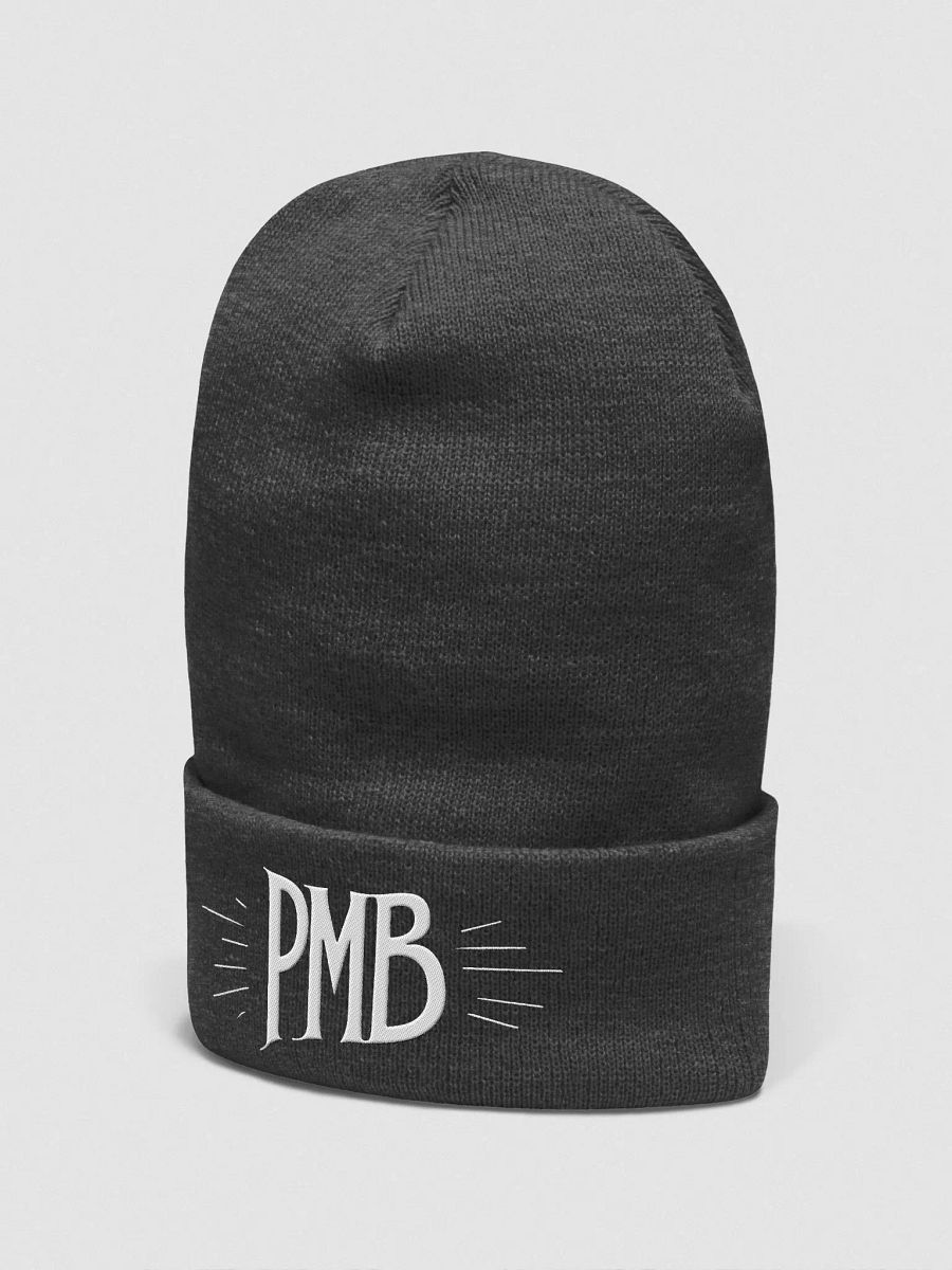 Paper Mountain Band Logo Embroidered Beanie product image (2)