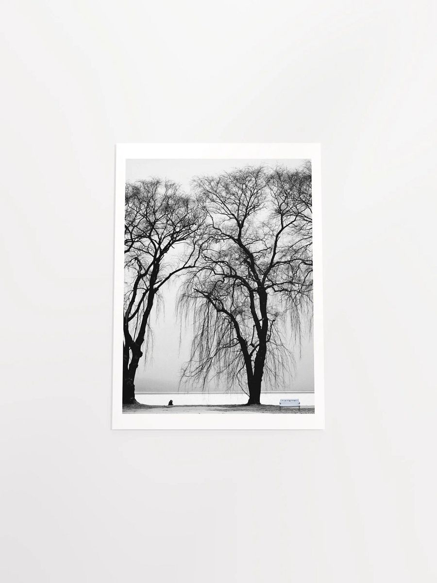 SOLACE IN THE MIST product image (32)