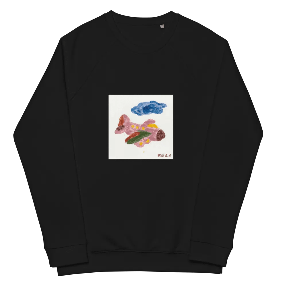 Kid Airplane (SOL'S Unisex Organic Raglan Sweatshirt) product image (2)