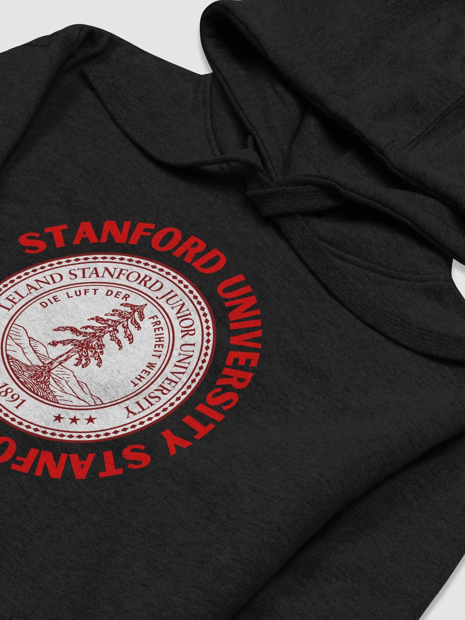 Stanford University Hoodie product image (3)