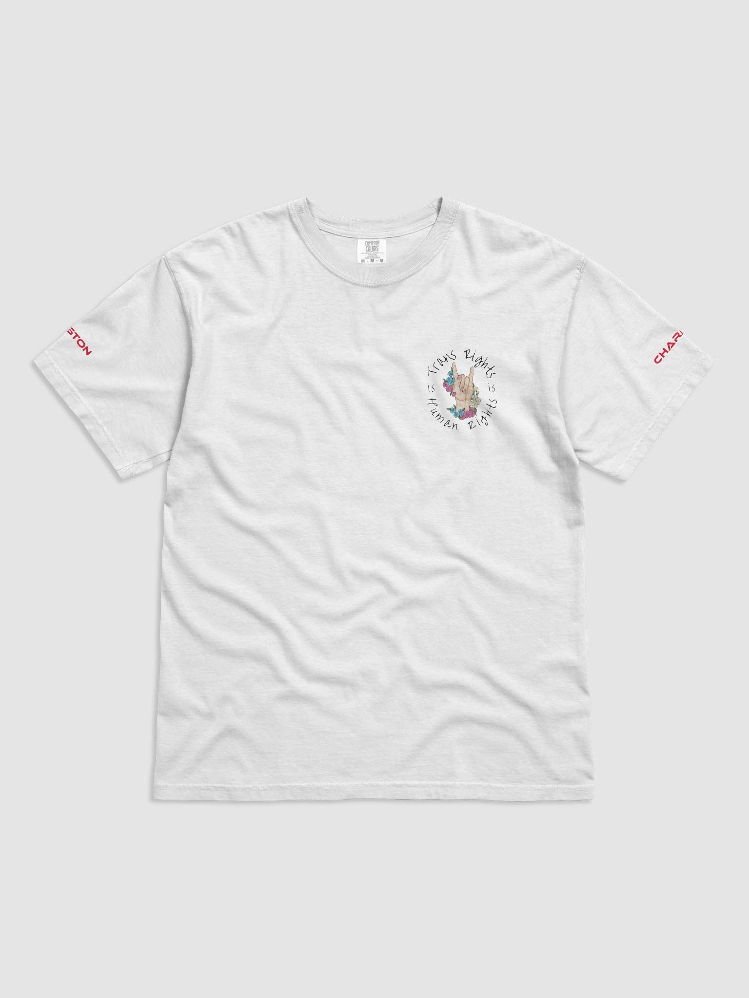 Trans Rights T-Shirt product image (23)