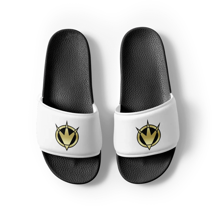 PRDT Slides product image (7)