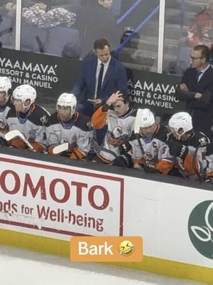 Don’t mind the barking 🤣 . . . #fyp #nhl #hockey #anahiemducks #sandiegogulls #ahl #samcolangelo 