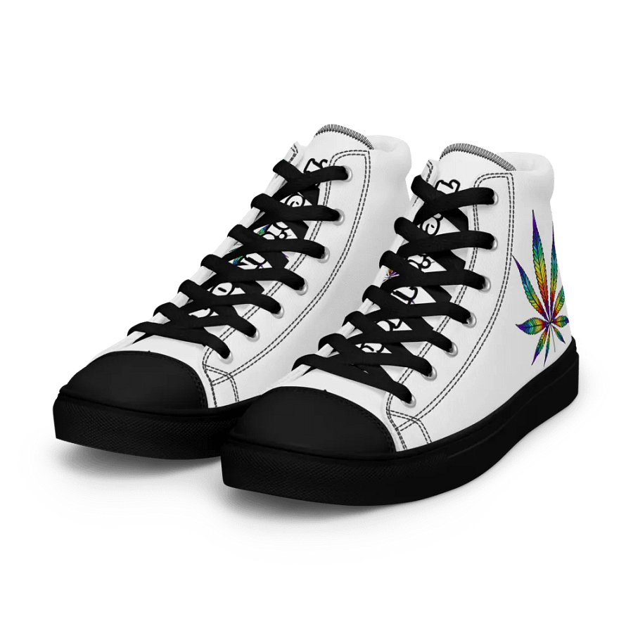 rainbow pot mens shoes product image (6)