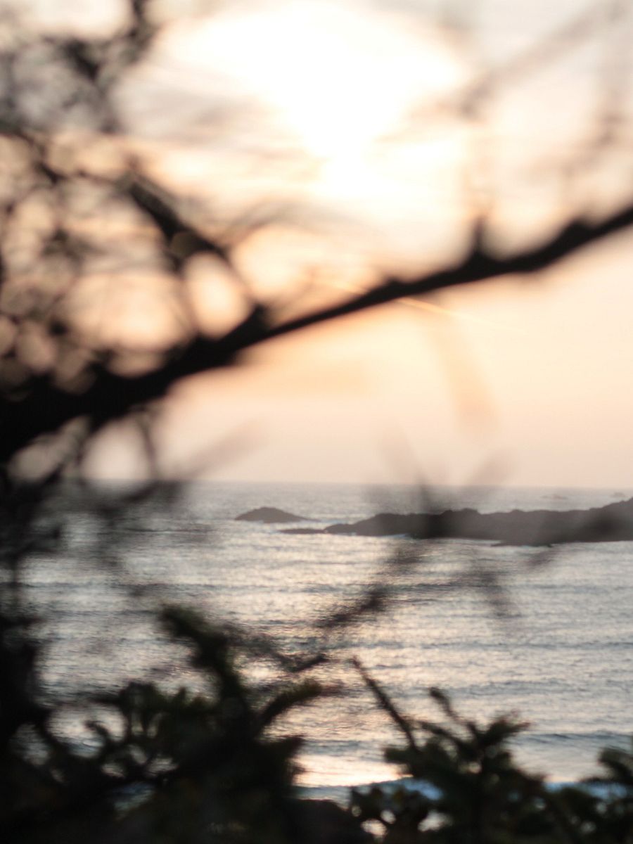 Wild Pacific Light product image (12)