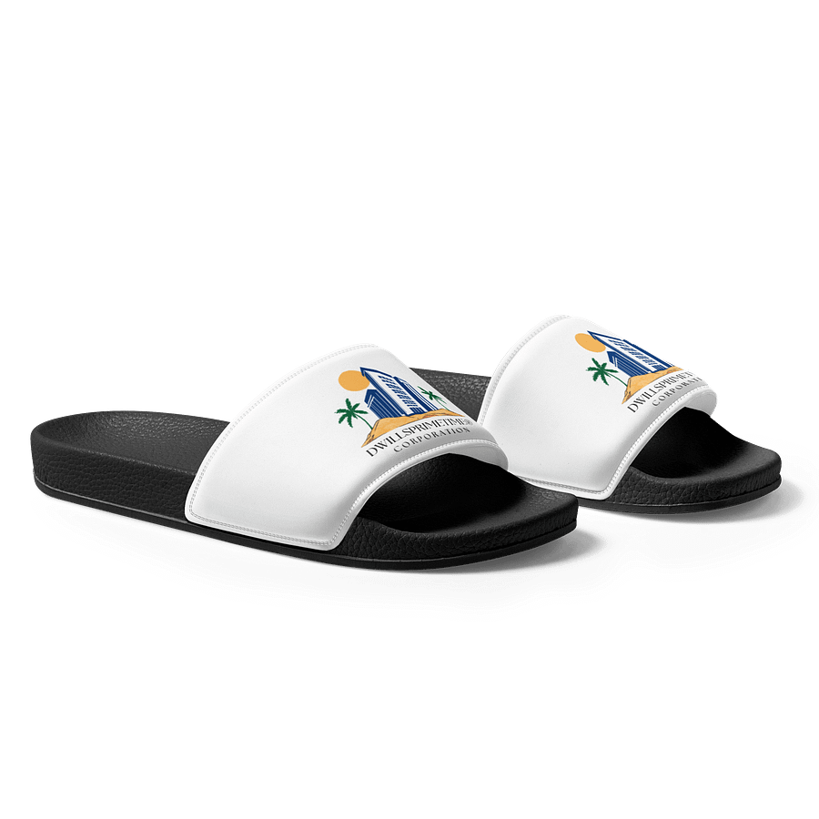 Dwillsprimetime Corporation Women's Slides product image (1)