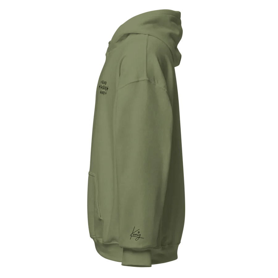 Womp F Womp Black embroidery Hoodie product image (27)