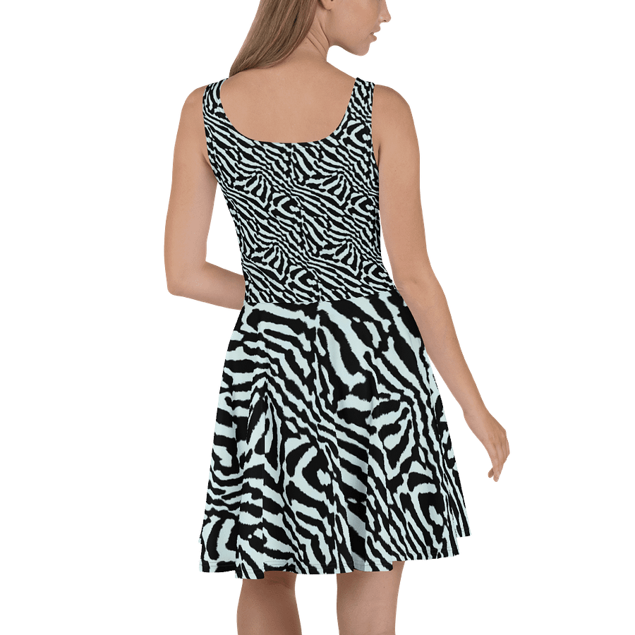 Blue Zebra Skater Dress product image (4)