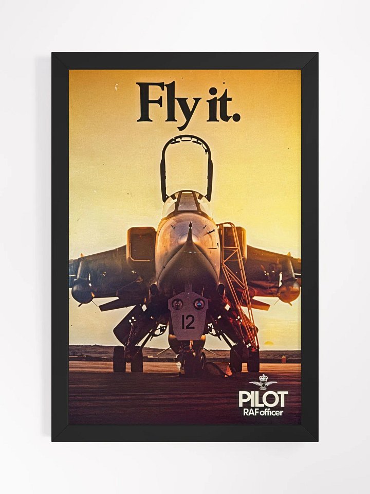 Fly it. product image (1)