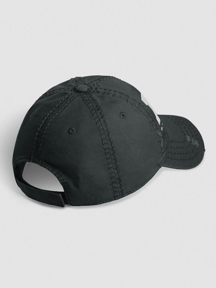DJT Distressed Dad Hat product image (5)