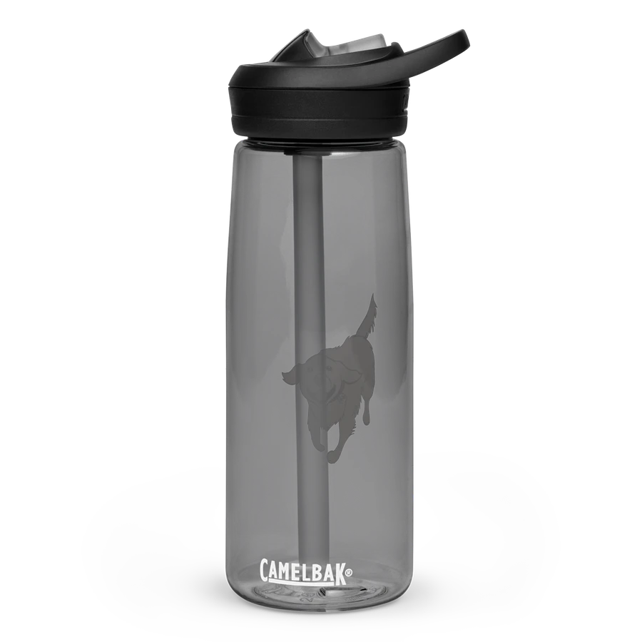 CamelBak Eddy®+ Sports Water Bottle by CamelBak - Golden Retriever product image (2)
