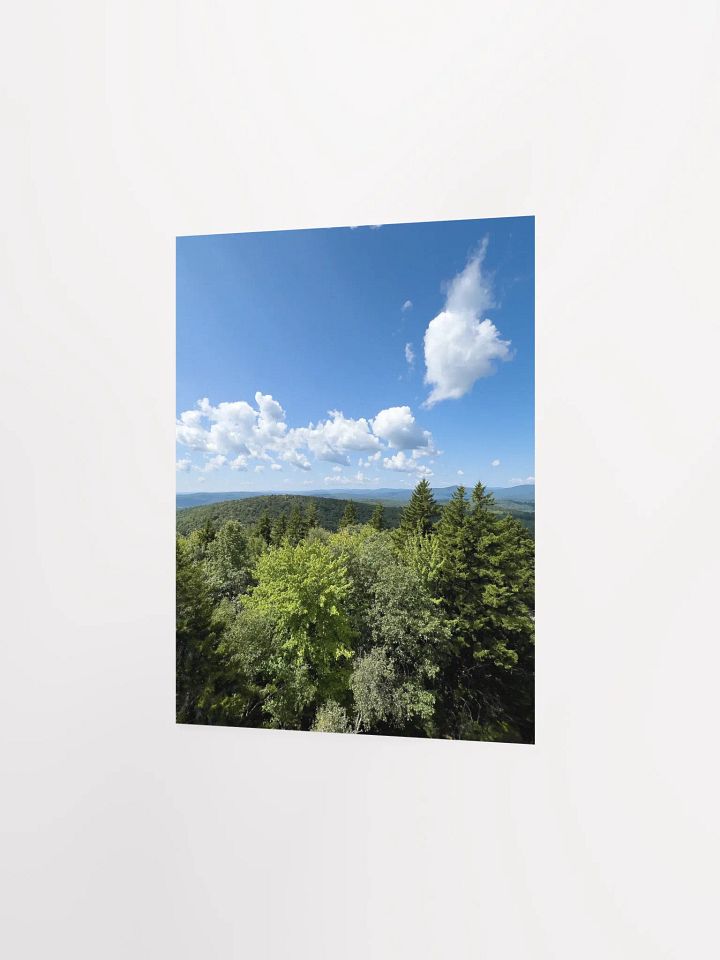 From the Fire Tower (Enhanced Matte Poster) product image (2)