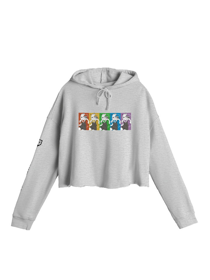 Northern Saw-whet Owl Lightweight Crop Hoodie - Rainbow (Light Colours) product image (1)