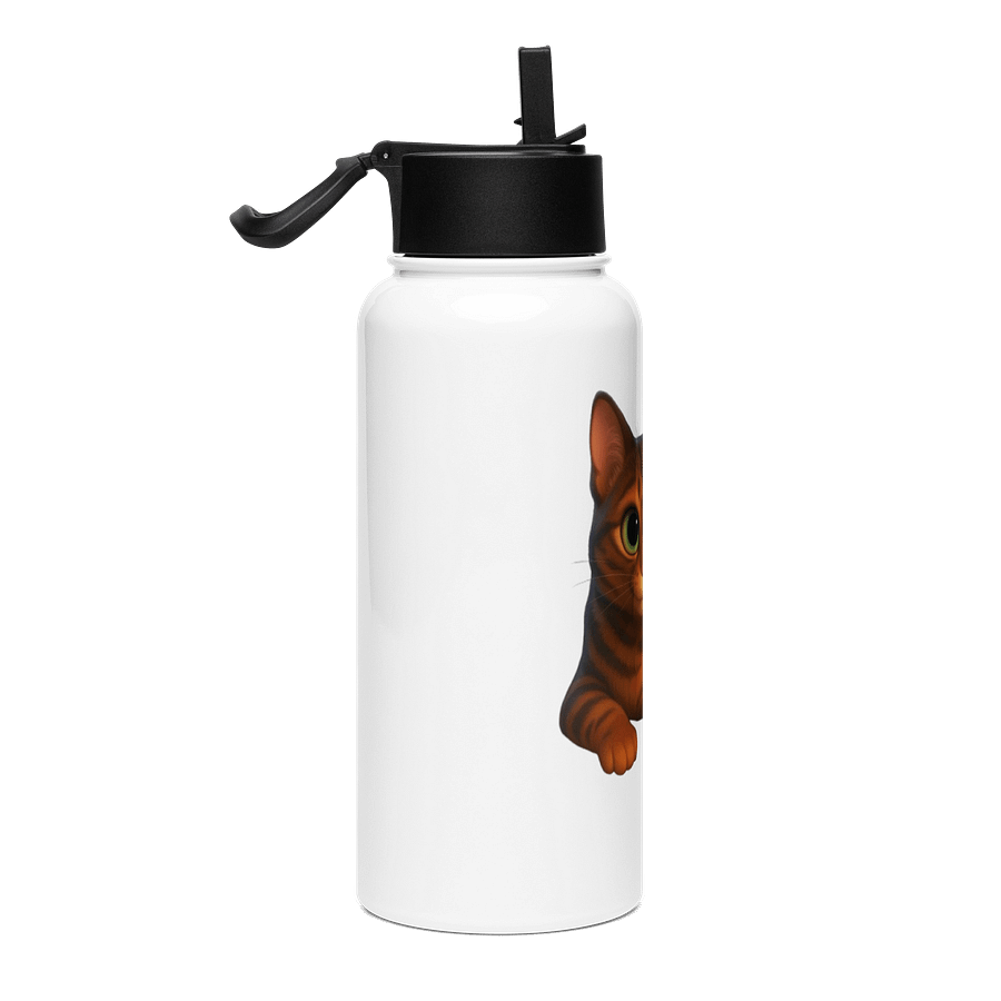 Dior'sCat - Stainless Steel Water Bottle with a Straw Lid product image (4)