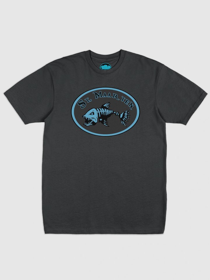 St. Maarten T product image (1)
