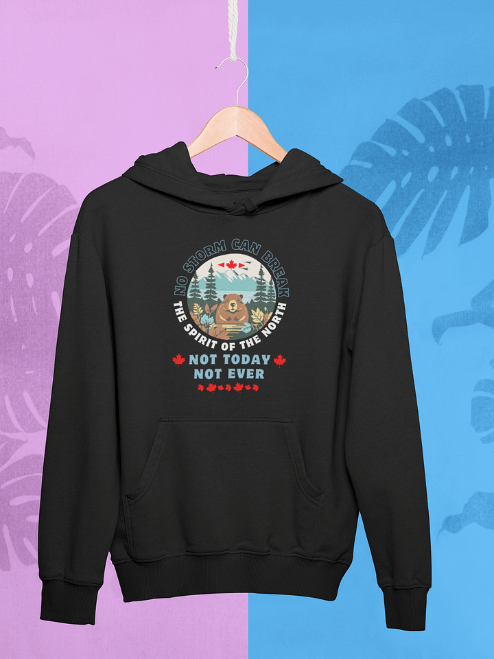 Snow Beaver Classic Hoodie product image (1)