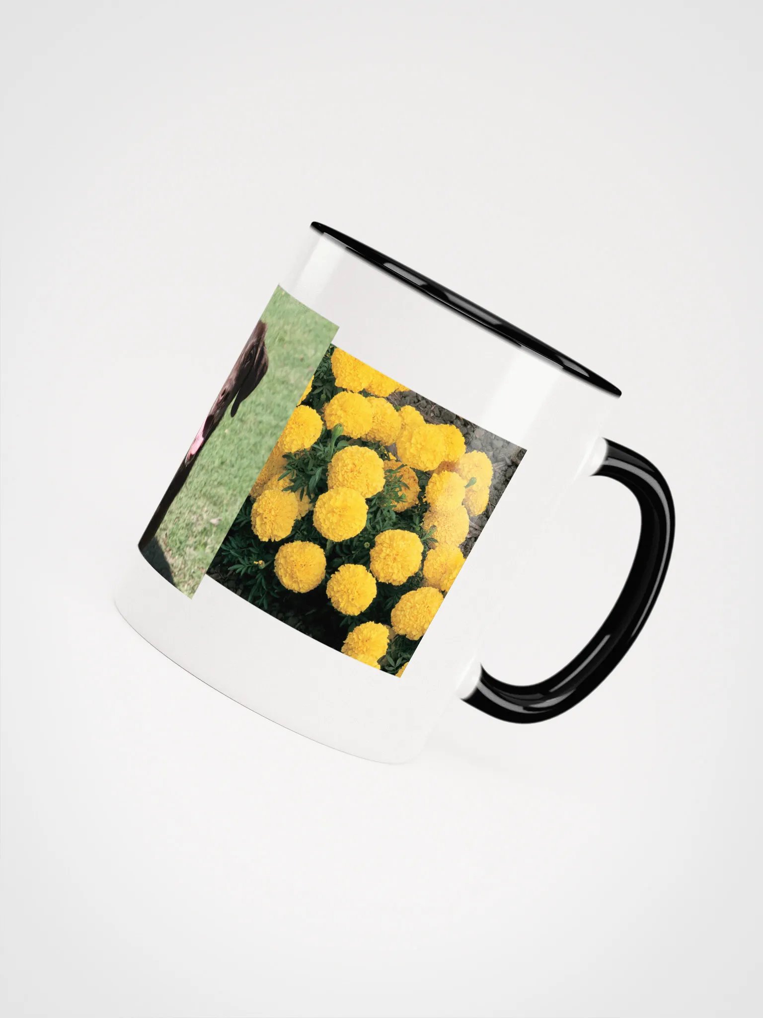 sunshine product image (22)
