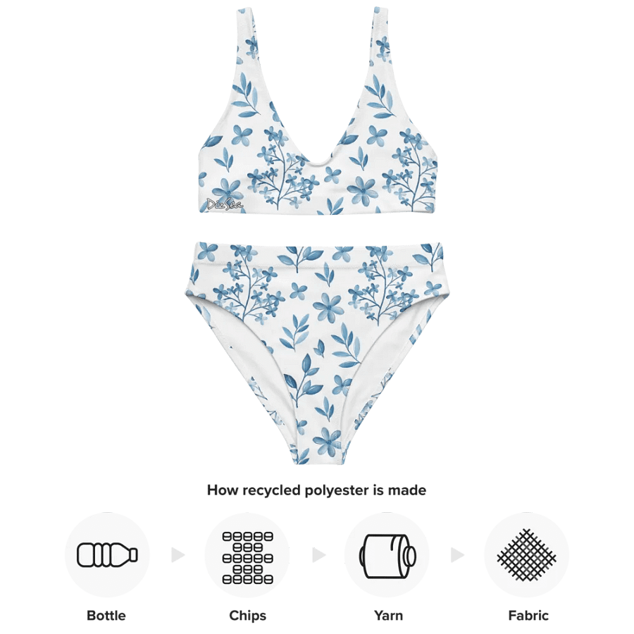 DizSea High Waisted Bikini product image (12)