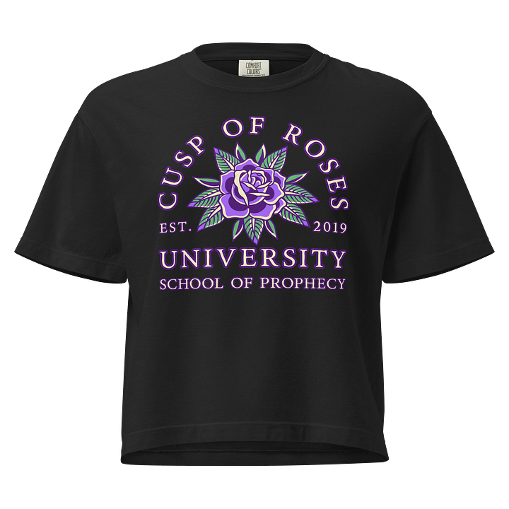 school of prophecy | crop tee | sagittarius-capricorn cusp product image (1)