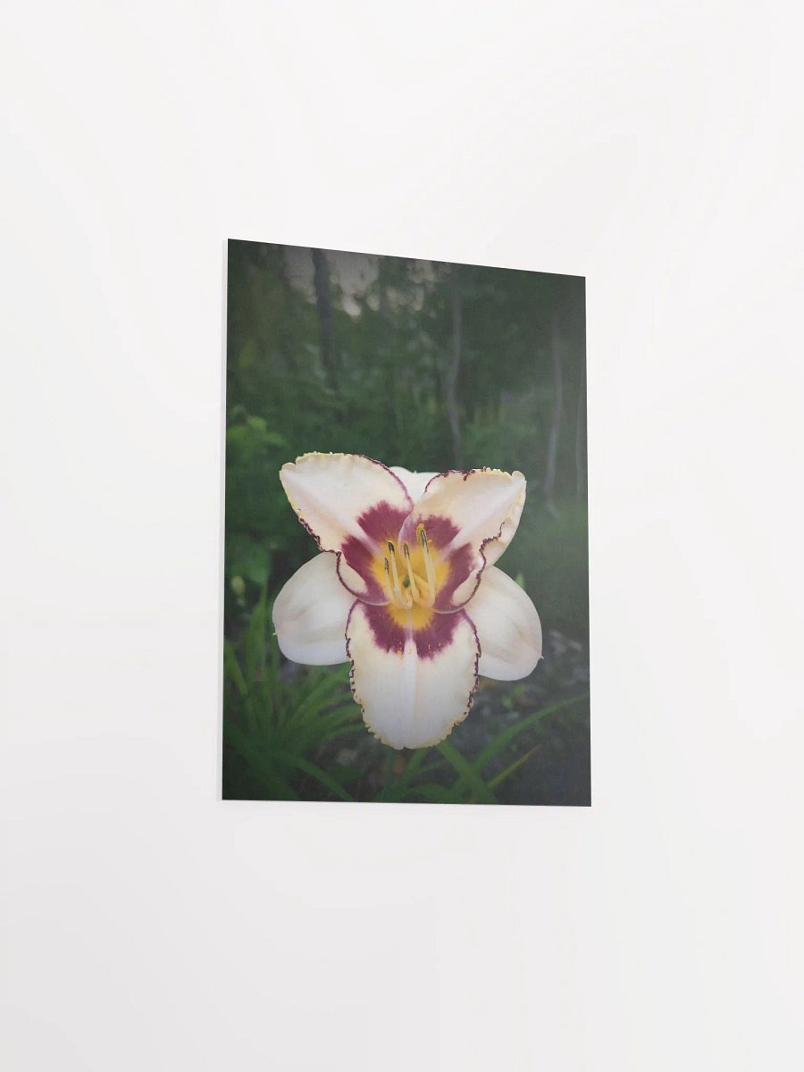 Daylily (Print) product image (21)