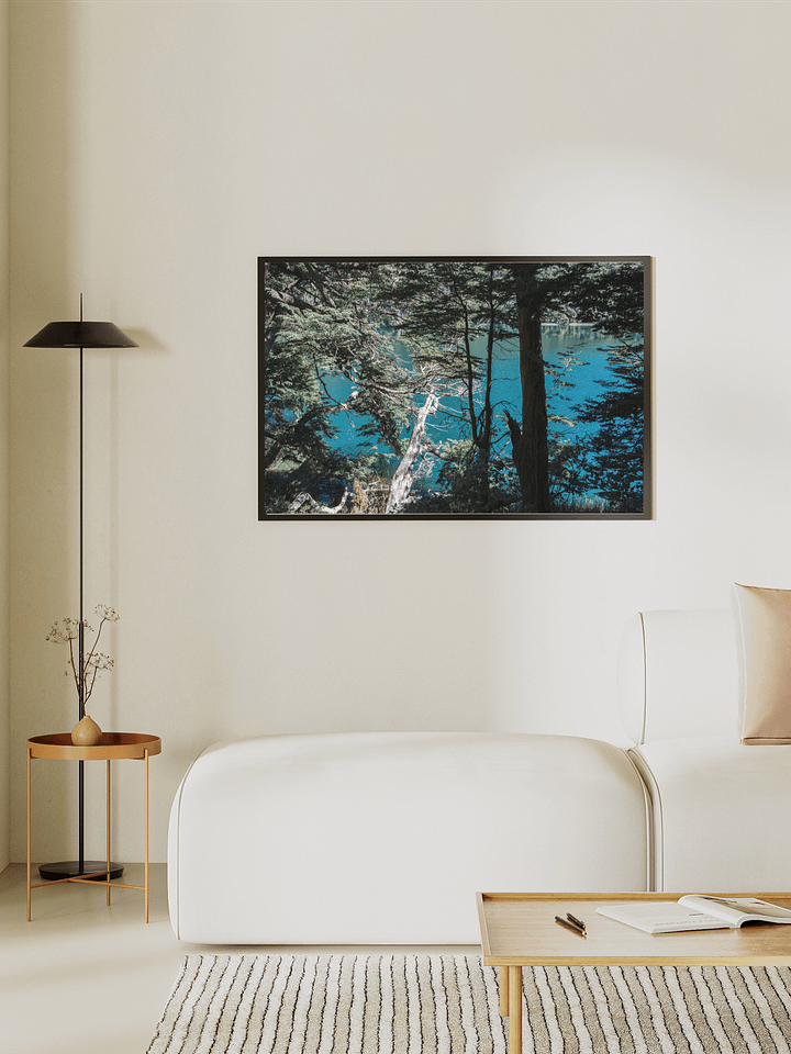 Lago Espejo Patagonia - Enhanced Matte Paper Poster product image (1)