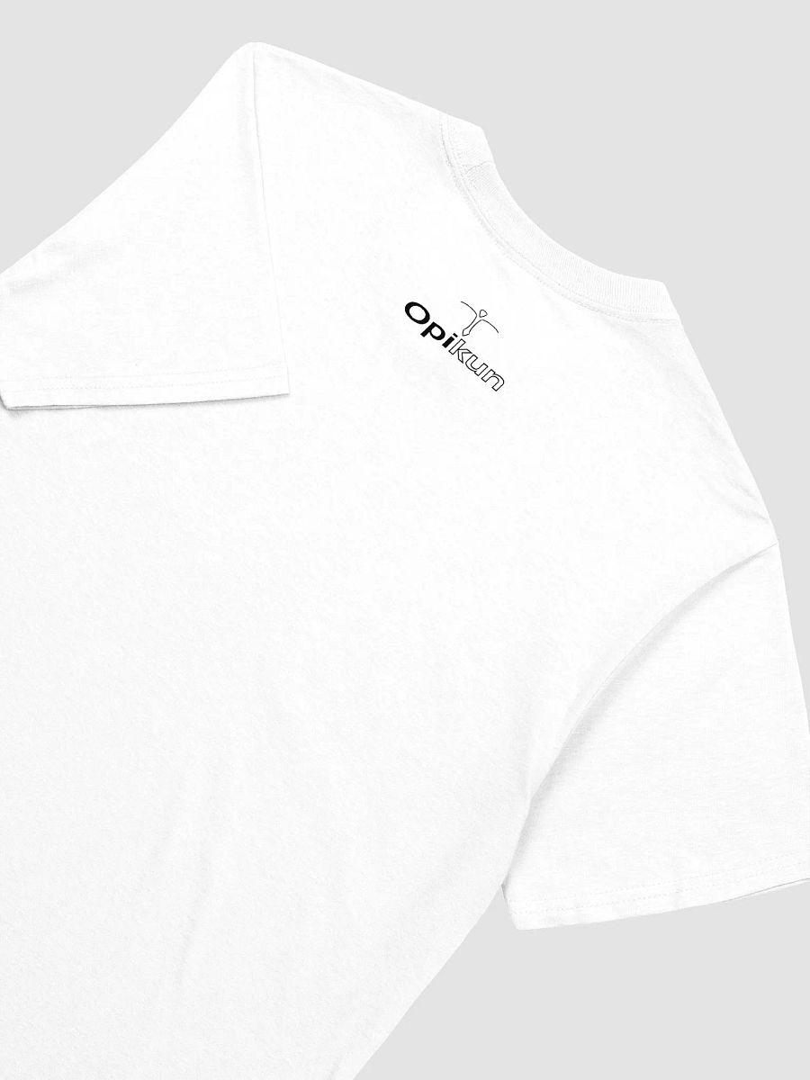 Conspiracy Leads To Spirituality - Gildan Unisex Softstyle T-Shirt product image (4)