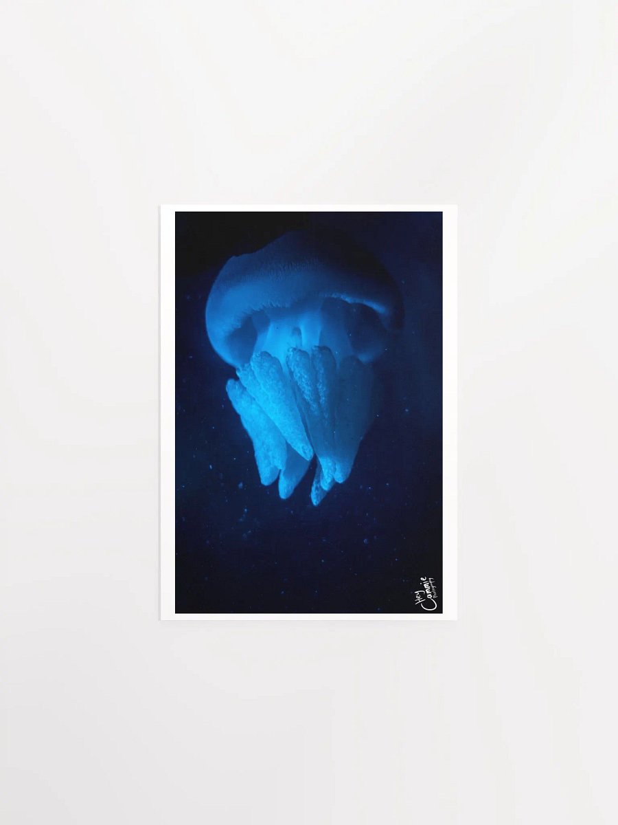 Shipwreak - Print product image (1)