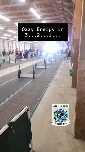 When you hear 'Crazy Train' and suddenly... 🚂
~
Sponsored by @statebankoffaribaultpriorlake , Heartlight Chiropractic & @cham...
