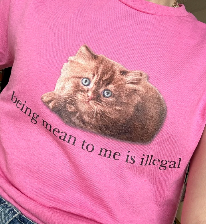 Being Mean To Me Is Illegal Tee 🎀 product image (1)