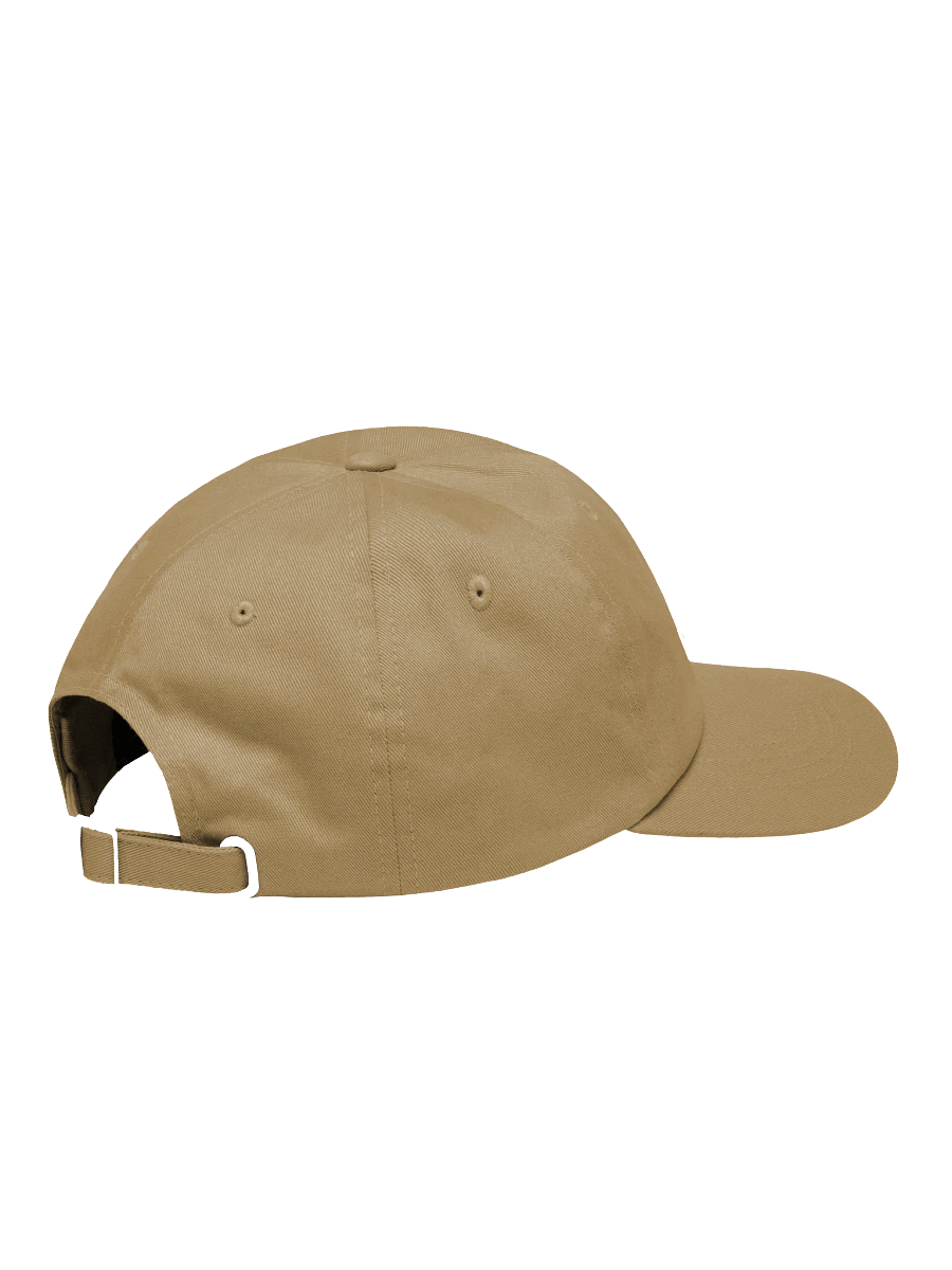 Transit Tangents - Logo Hat product image (15)