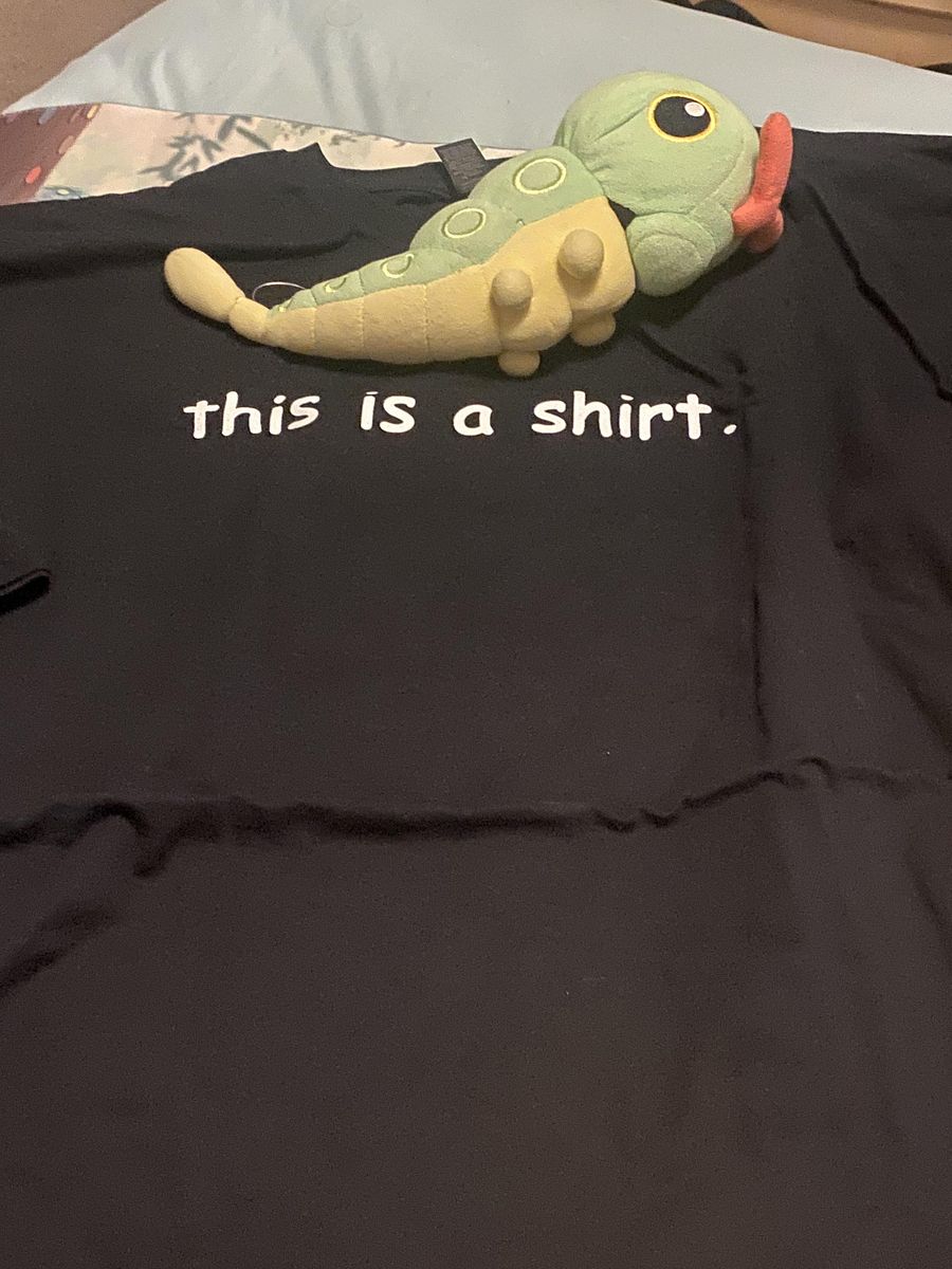 this is a shirt. product image (2)