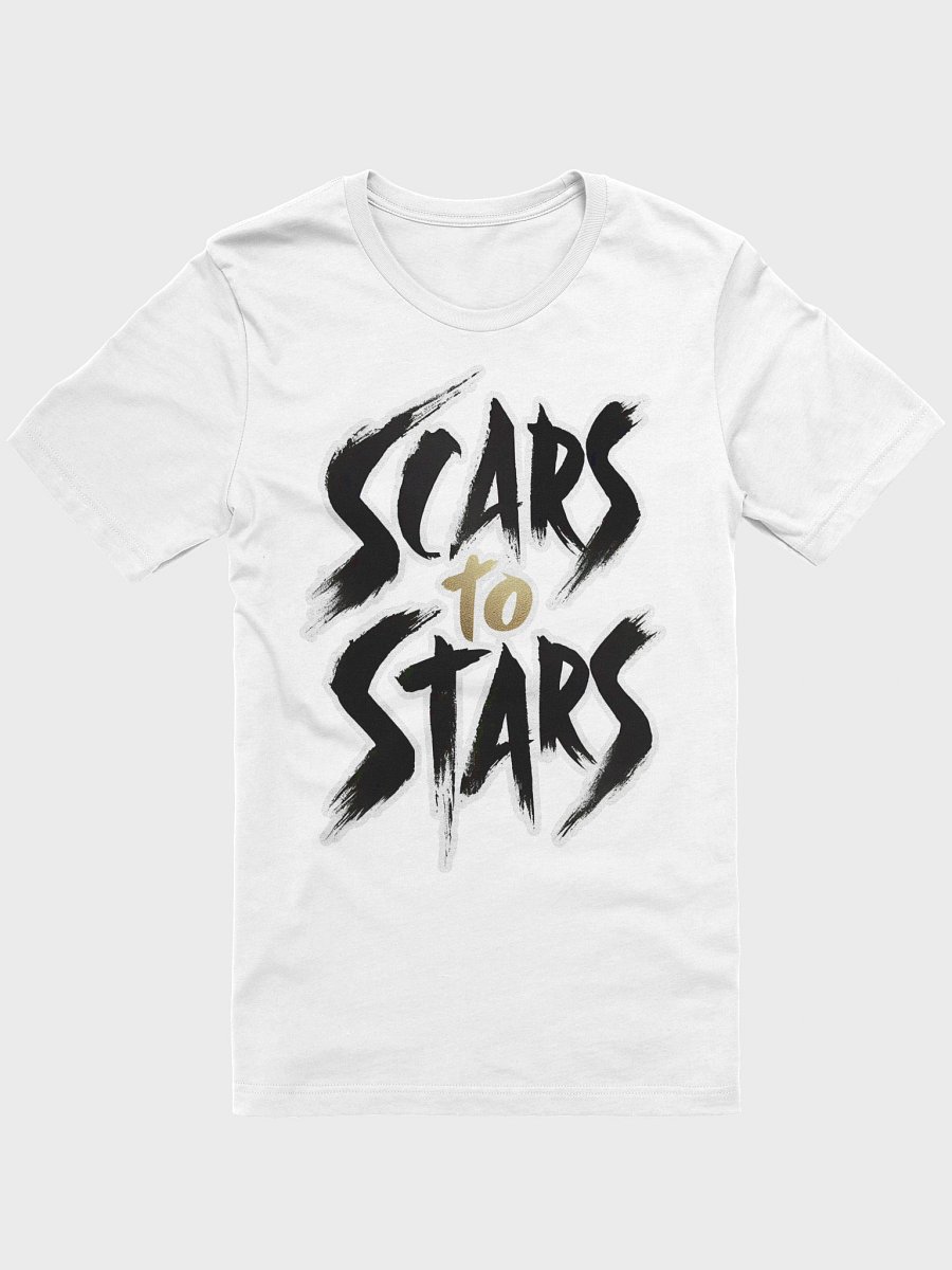 Scars to Stars product image (1)