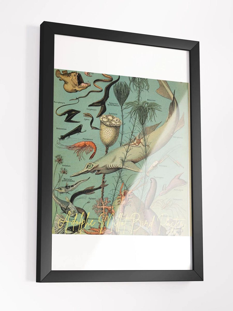 Art by Adolphe Millot Framed High-Quality Matte Poster (in) product image (3)