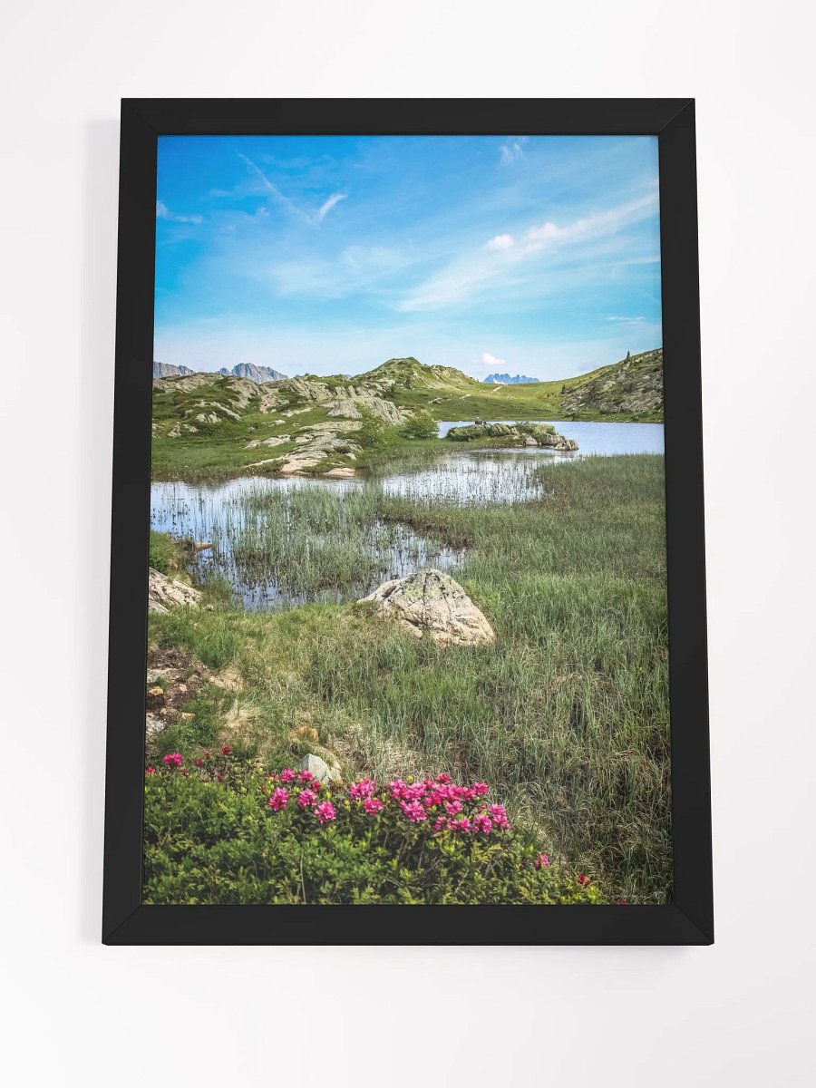 Print Fine Art – Alpe d’Huez – Blooming Alpine Haven product image (7)