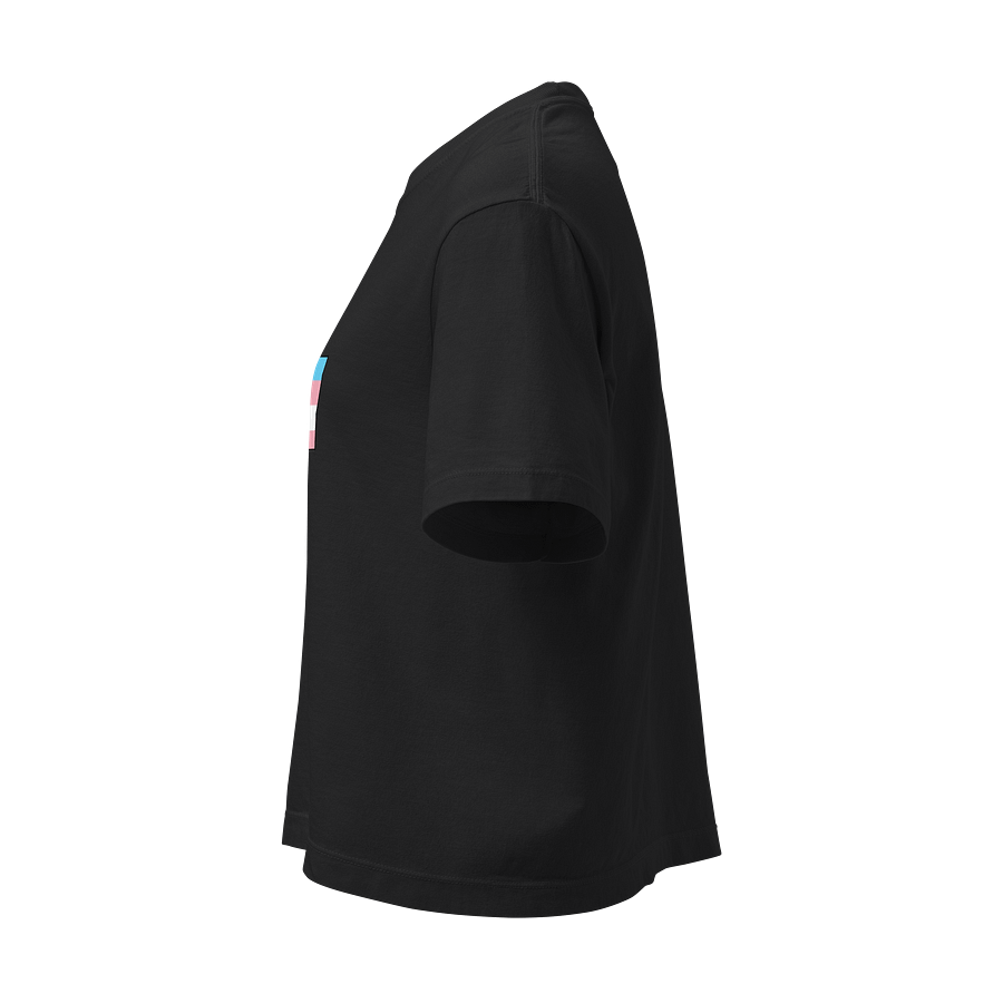 Faulted Pride Flags- Transgender Shirt product image (3)