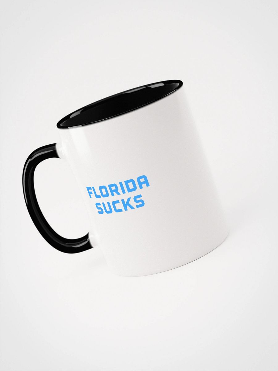 Florida Sucks Mug product image (1)