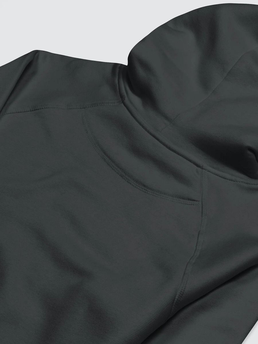 Power In the Blood | Organic Cotton | Hoodie Male product image (4)