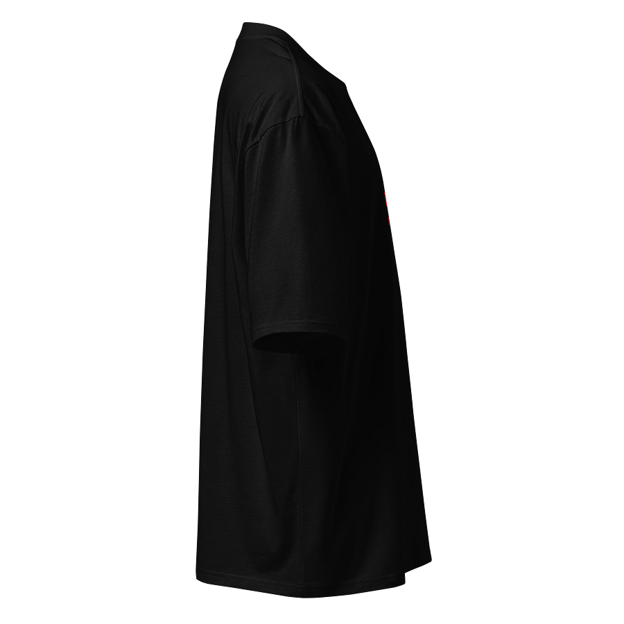 UFO Ultraconservative Family Oriented Oversized Tee product image (3)