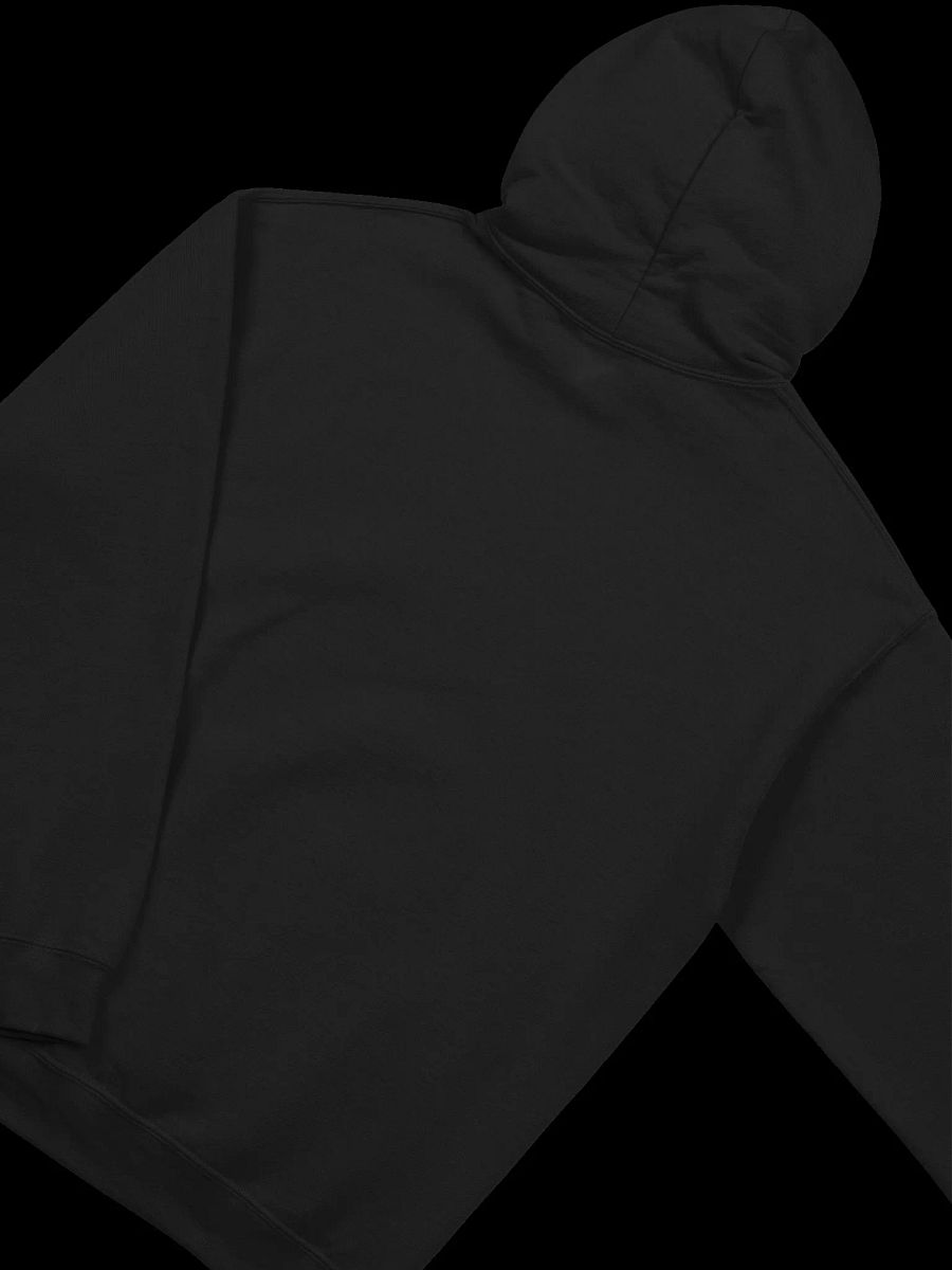 Snowglobe Hoodie product image (4)