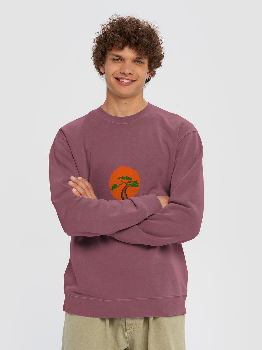 Unique Vintage Pigment Dyed Sweatshirt product image (3)