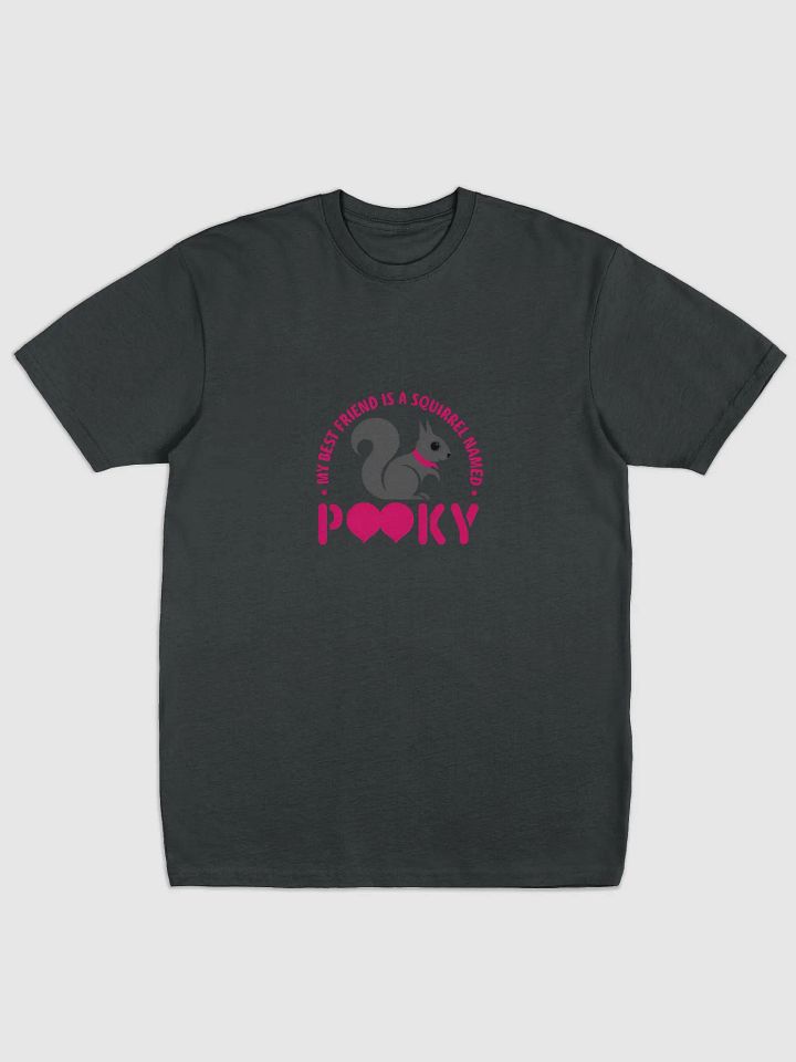 Super Comfy Tee: My Best Friend is a Squirrel Named Pooky product image (1)