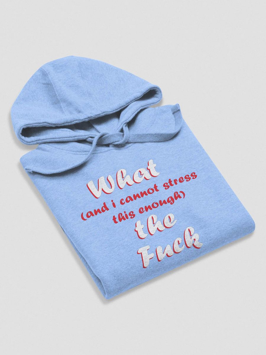 WTF Hoodie product image (56)