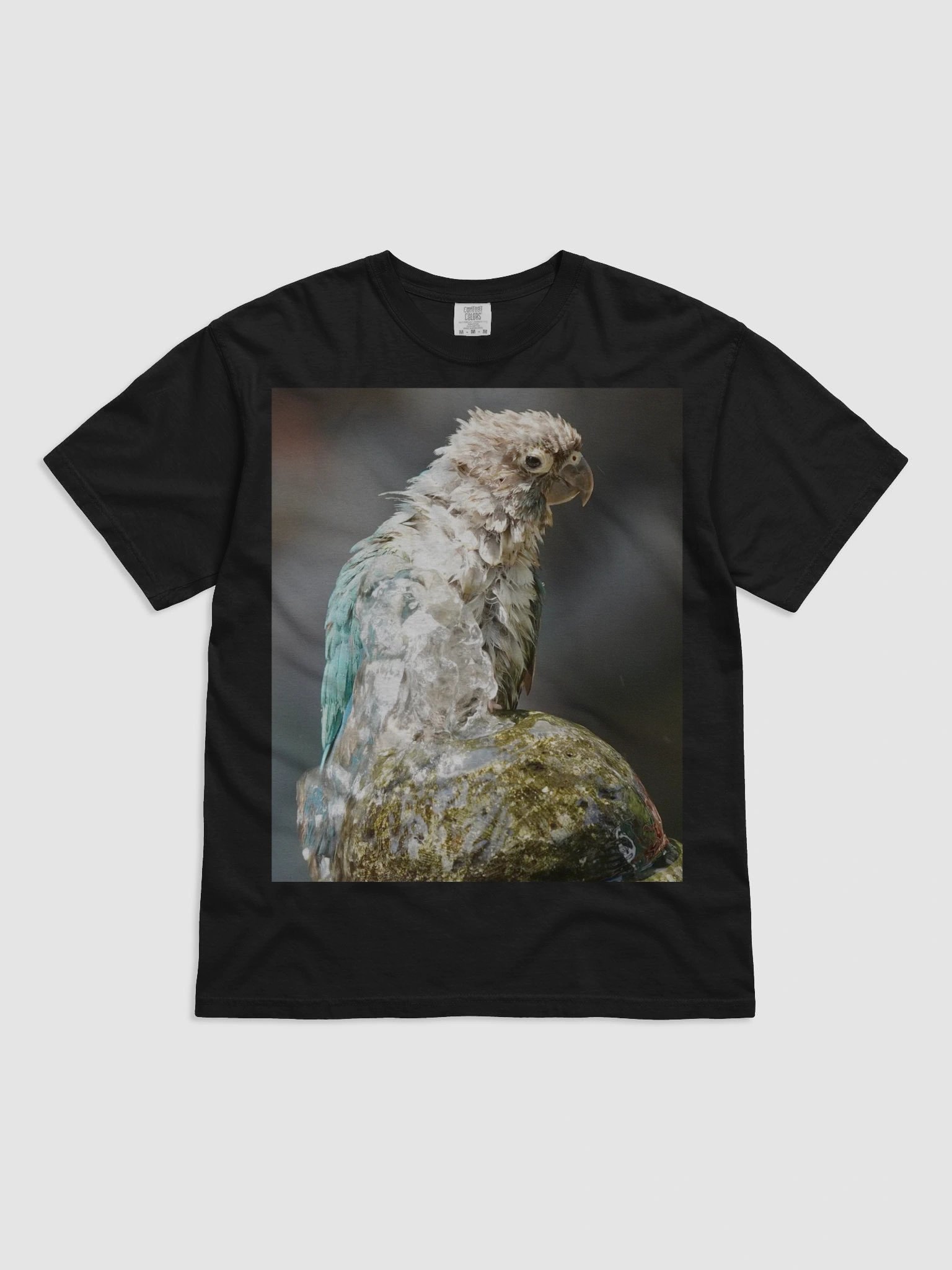 Ruffled Feathers Parrot Tee product image (1)