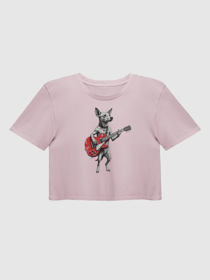 Vintage Rockstar Potcake BabyTee Crop Top product image (2)