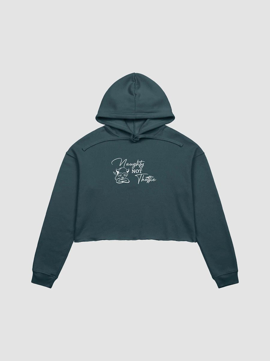 Naughty Not Thottie crop Hoodie product image (7)