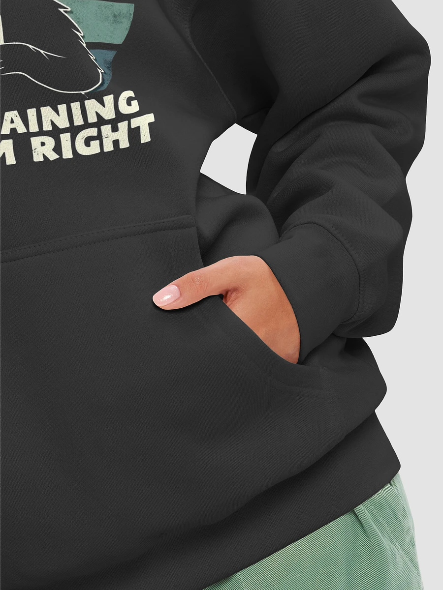 Pawsitively Right Hoodie product image (8)