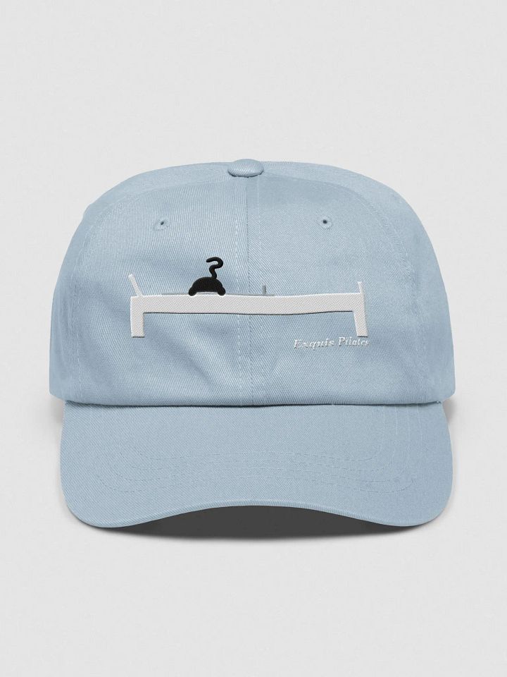 Cat on the Reformer Hat product image (2)