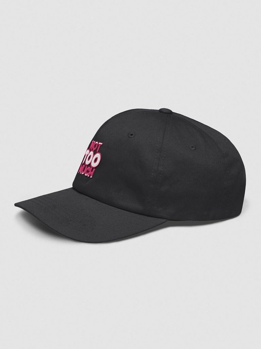 NOT TOO MUCH Cap! product image (13)